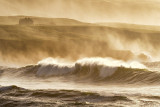 Riders on the Storm