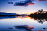 High Tide Reflections