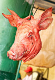 Pigs Head