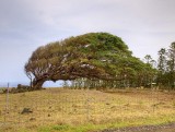 Nature B295469