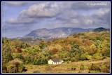   Ireland - Co.Leitrim - Dromahair 