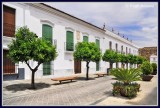  Spain - Extremadura - Olivenza 