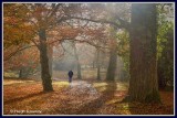 Ireland - Co.Laois - Emo Court Gardens - Autumn stroll 