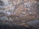 Jewel Cave 017.jpg