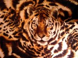 Tiger Silk Scarf