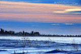 Windblown Ice Crystals