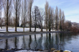 Cold winter