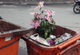 Even the waste has to be flowered .....