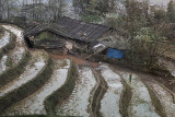 Rice fields in SaPa