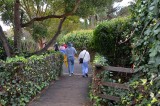 Crossing the Ivy Bridge