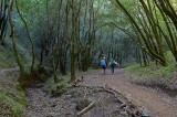 Dry Creekbed