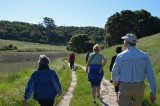 Starting Around the Marsh