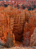 Navajo Trail