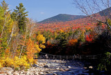 Swift River Suspension Bridge