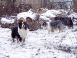 first snow of the season