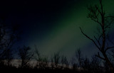 Aurora borealis P2230876.jpg