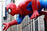 Spiderman on parade