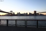 Manhattan & Brooklyn Bridges