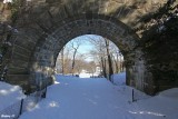 In Fort Tryon Park