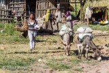 Village Scene