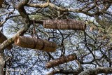 Bee Hives