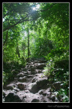 Path to Lauvitel Lake