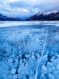 Trapped In Abraham Lake