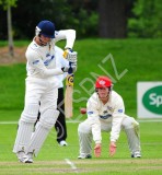 otago cricket 1522.JPG