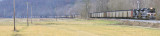 NYC 1066 leads 105 loads of Western KY coal up the valley at Spring Lick, KY. You can see the entire train in this view