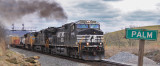 NS 224 gets back on the move at Palm, with a (fairly) new GE putting out more smoke than a 50 year old Alco.