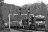 NS 174 at Southfork
