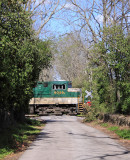 Southern Green and Gold framed by the rock fences at West Talmage