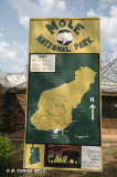 Mole National Park