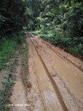 Ankasa National Park