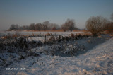 Bourgoyen January 2013