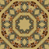 Squirrel kaleidoscope