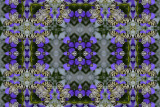 Kaleidoscope #5