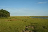 Nauset Marsh