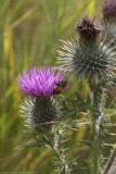 20110723-IMG_5875.jpg