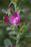 20110723-IMG_5881.jpg