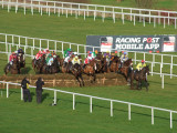 26 December 2012 Leopardstown Races Dublin Ireland.jpg