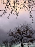 Fall Season 2012