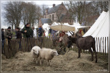 Quondam Midwinter 2012