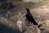 25-01-2013 la palma.jpg
