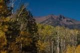 Lockett Meadow, Flagstaff