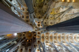 DSC03902_small.jpg