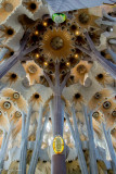 DSC03924_small.jpg