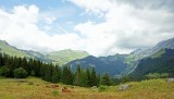 La Clusaz France 2009