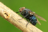 sized_IMG_2217.jpg