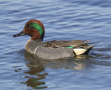 20130217_4809.jpg